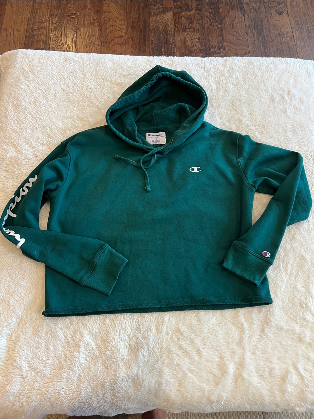 Champion Men’s Power-blend Night Garden Hoodie 487X cropped